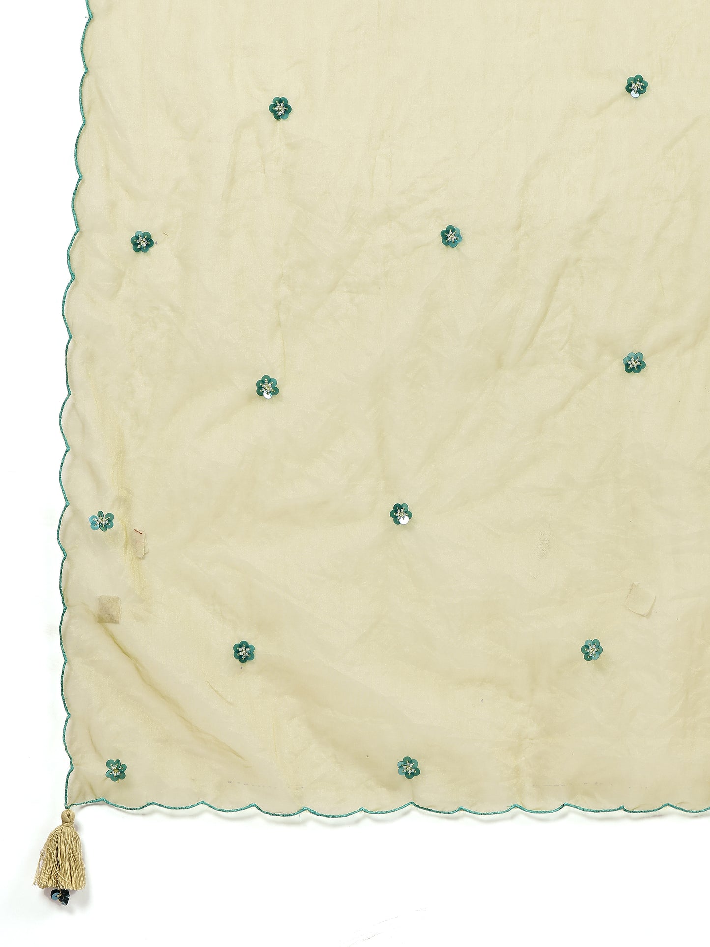 Aqua Blue Sleevles Embroidered Anarkali Set with Olive Organza Dupatta