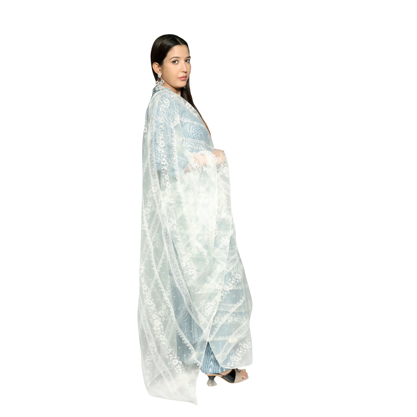 Cream Blue printed Kurta  along with Pants and Glass Nylon Dupatta